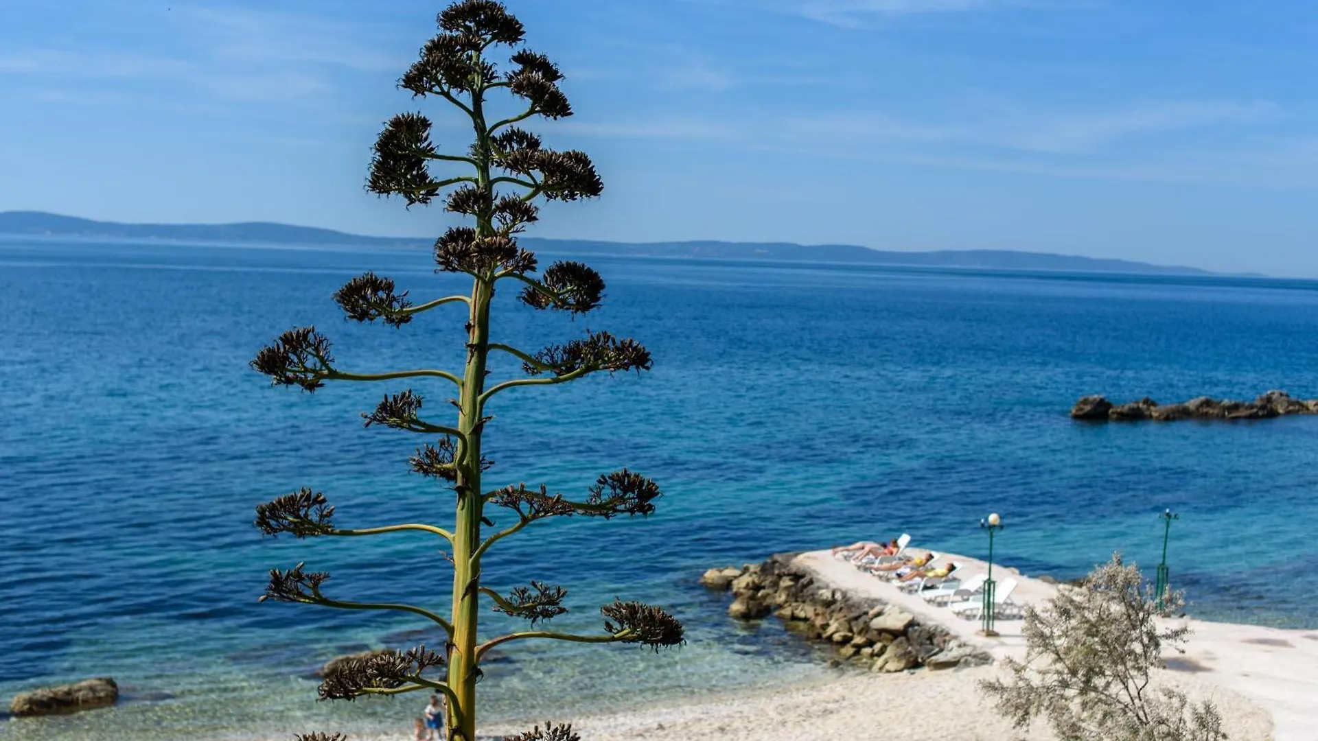 Best Location Beach 스플리트 0*,  크로아티아
